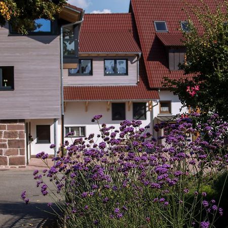 Saunaloft Schwarzwald Gemeinde Gemeinde Aichhalden Exterior photo
