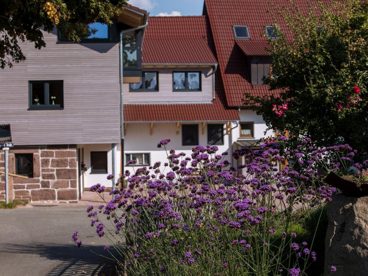 Saunaloft Schwarzwald Gemeinde Gemeinde Aichhalden Exterior photo