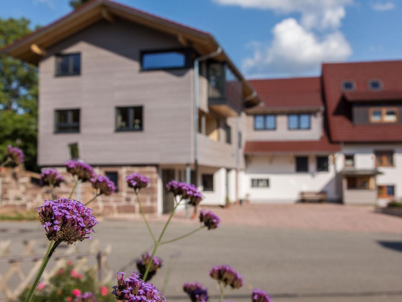 Saunaloft Schwarzwald Gemeinde Gemeinde Aichhalden Exterior photo
