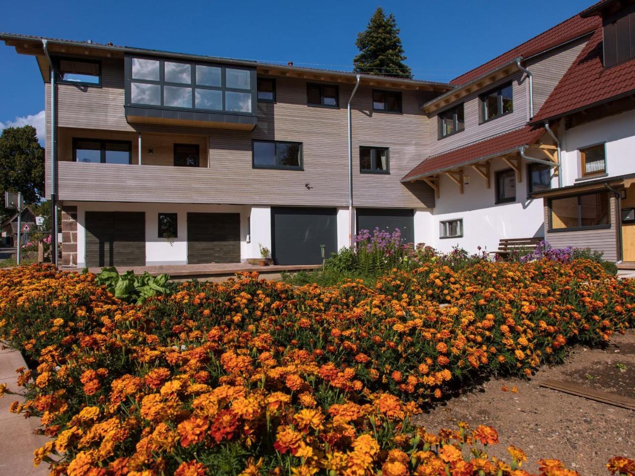 Saunaloft Schwarzwald Gemeinde Gemeinde Aichhalden Exterior photo