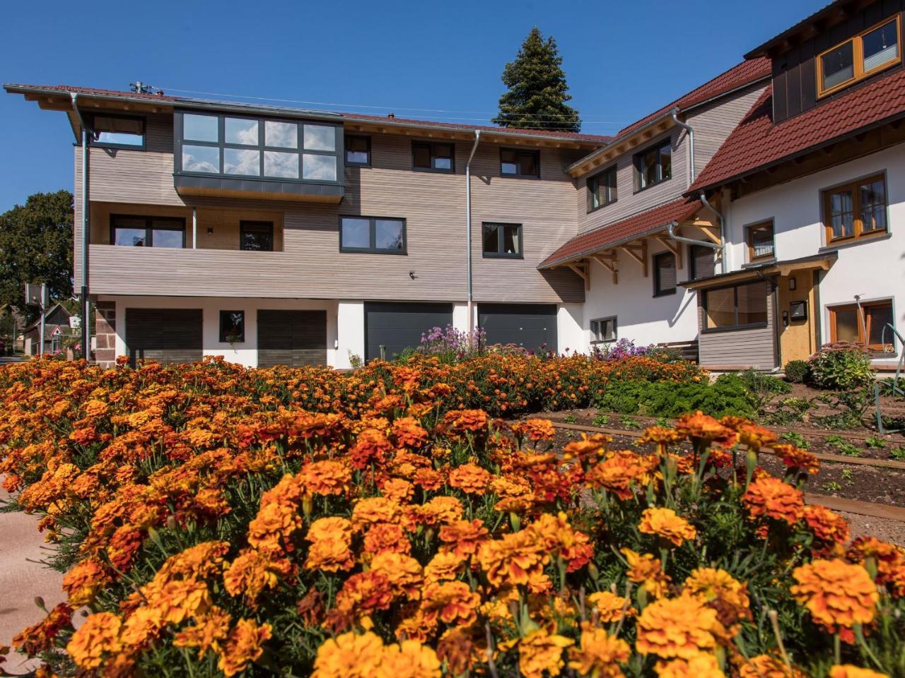 Saunaloft Schwarzwald Gemeinde Gemeinde Aichhalden Exterior photo